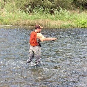 Meet your Posher, David